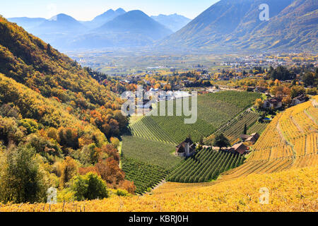 Blick von Weinbergen auf die St. Valentin Kirche und die Burg Trauttmansdorf. St. Valentin Kirche bei Laber, Meran, Vinschgau, Südtirol, I Stockfoto