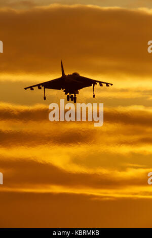 BAe Harrier GR 9 ZG 857 EB-Z KN-P89 an RAF Cottesmore Stockfoto