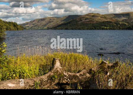 Blick vom Ufer über der zweitgrößte See des englischen Lake District National Park, ullswater, in Cumbria, England, UK an einem sonnigen Tag. Stockfoto