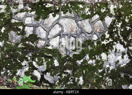 Eine Steinmauer mit künstlerischen Adern, über das Moos wächst Stockfoto