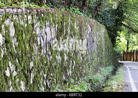 Eine Steinmauer mit künstlerischen Adern, über das Moos wächst Stockfoto