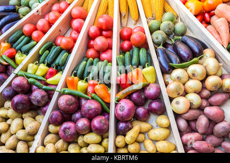 Landwirtschaft verschiedene farbige frische Gemüse auf dem Bauernmarkt geerntet Stockfoto