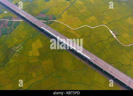 Peking, China Guangxi Zhuang autonomen Region. Am 15. Juli 2017. Ein Bullet Zug fährt in Liuzhou City, South China Guangxi Zhuang autonomen Region, 15. Juli 2017. Credit: Li Xin/Xinhua/Alamy leben Nachrichten Stockfoto