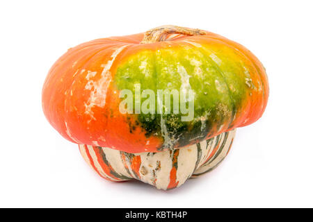 Heirloom turban Squash auf weißem Hintergrund Stockfoto