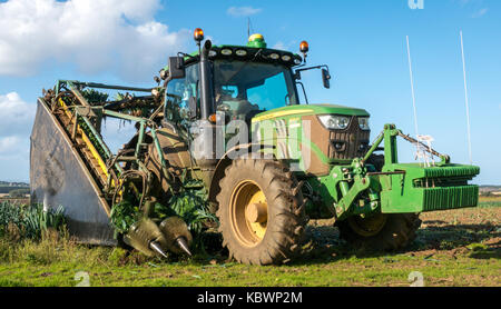 Nahaufnahme eines Mannes, der einen Traktor fährt, der Lauch erntet, East Lothian, Schottland, Großbritannien Stockfoto