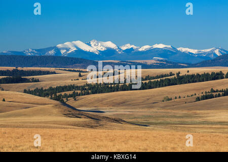 Flint Creek und Wiesen in den Schneeschuh Creek Basin in der Nähe von Avon, Montana Stockfoto