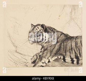 Wilhelm Kuhnert Tiger Radierung Stockfoto