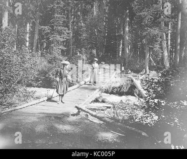 Frau J W Slayden und Frau H M Sarvant Überqueren einer Fußgängerbrücke auf einer Spur über Paradise Fluss, ca 1901 (SARVANT 102) Stockfoto