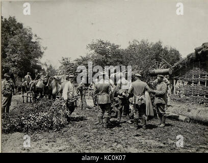 Eine von den beiden Russen erbeutete 15 cm Kanone, erbeutet in Russ. Polen, in den Stellungen der 32.Infanteriedivision in Seredince, bedient von einer deutschen Batterie 646, 15.6.1916. (BildID) 15542170 Stockfoto