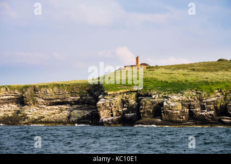 Alte semaphore Signalisierung Telegraph Station auf papageitaucher Island mit nistenden Vogelkolonien auf Karbon Kalkstein felsigen Vorsprüngen. Anglesey Wales UK Stockfoto