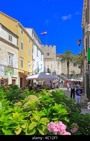 Blumen in einer Straße in der Nähe der Treppe und Turm Revelin oder Land Gate, Stadt Korcula, Insel Korcula, Kroatien, Dalmatien, Dalmatinischen Küste, Europa. Stockfoto