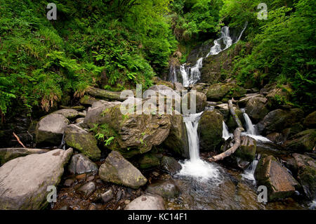 Torc Wasserfall, Nationalpark Killarney, County Kerry, Irland Stockfoto