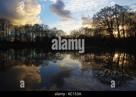 Sunset Landschaft mit Baum Reflexionen mit Blick auf den See in Worsley, Greater Manchester, UK Stockfoto