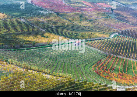 Reihen von Orange, gelbe und grüne Weinberge auf dem Hügel im Herbst in Piemont, Norditalien Stockfoto