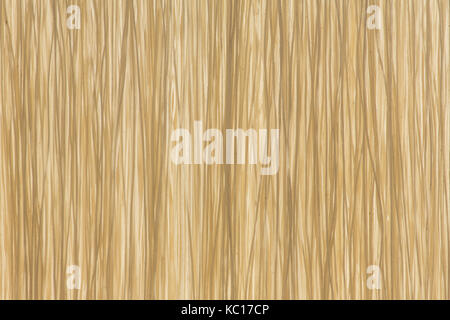 Hausgemachte Pasta Reis trocknen auf Sonne in Myanmar. Stockfoto