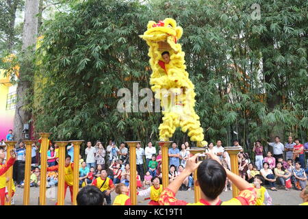 Saigon - Feb 03, 2014: Lion dancing auf Blume Säulen (Mai Hoa Thung) bei Tao Dan Park, Ho Chi Minh City, Vietnam am Neujahrsfest. Stockfoto