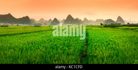 Reisfeld Sonnenuntergang mit karsterscheinungen Hintergrund in China Stockfoto