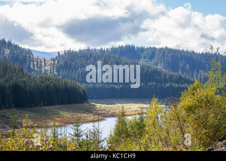 Tanne und anderen Kiefern auf den Bergen in der Nähe von Vidra See (Lacul Vidra) an einem bewölkten Ende Sommer/Herbst Nachmittag überhängenden ein Tal in den siebenbürgischen Stockfoto