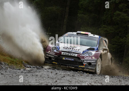 Thierry Neuville auf das Wales World Rally Championship (WRC) Rallye GB Wales, Großbritannien Stockfoto