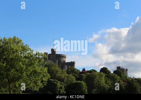 Windsor Castle, die durch die Bäume von dem großen Park Stockfoto