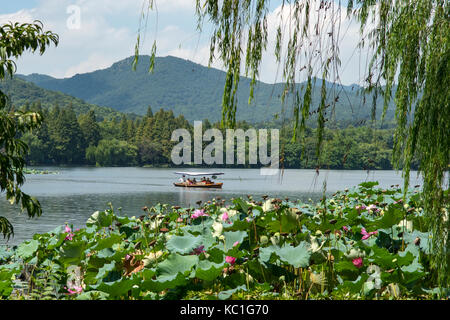 Lotus Blumen auf dem West Lake, Hangzhou, China Stockfoto