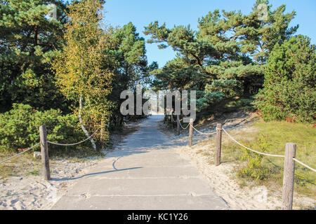 Rowy, Polen. 30 Sep, 2017. Slowinski-nationalpark Patch in Rowy ist, am 30. September 2017 gesehen. Leute, sonnigen und warmen Herbst Wetter mit Temperaturen von 20 Grad Celsius. Credit: Michal fludra/alamy Leben Nachrichten genießen Stockfoto