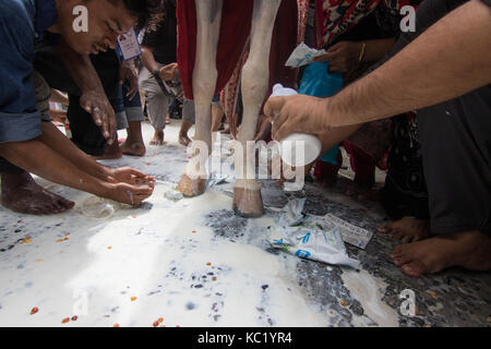 Sehr große Prozession des Muharram Credit: Azim Khan Ronnie/Alamy leben Nachrichten Stockfoto