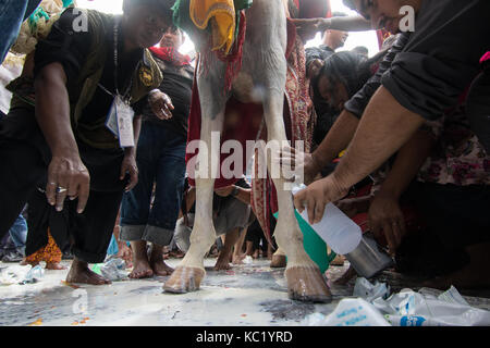 Sehr große Prozession des Muharram Credit: Azim Khan Ronnie/Alamy leben Nachrichten Stockfoto