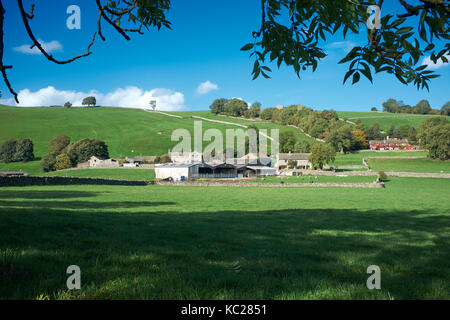 Von appletreewick. Zu Fuß südöstlich von burnsall in Richtung drebley entlang River Wharfe. wharfedale Stockfoto