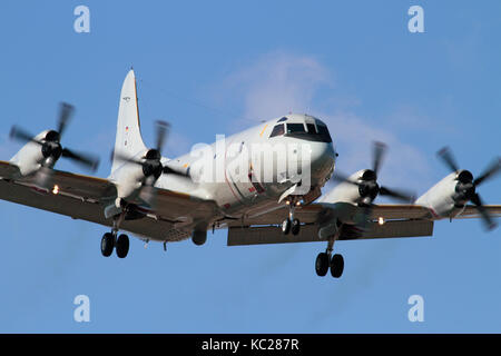 Militärische Luftfahrt. Deutsche Marine P-3C Orion 4-engine Turboprop Seeüberwachungsflugzeuge Ansatz. Vorderansicht Nahaufnahme. Stockfoto