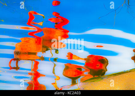 Impressionistischen Reflexionen von Flamingos auf einem See. Stockfoto