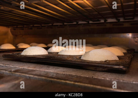 Gebäck in einem kommerziellen Backofen in Sydney Stockfoto