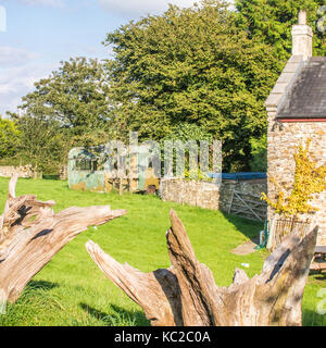 Bauernhaus in Devon, England, im Herbst Stockfoto