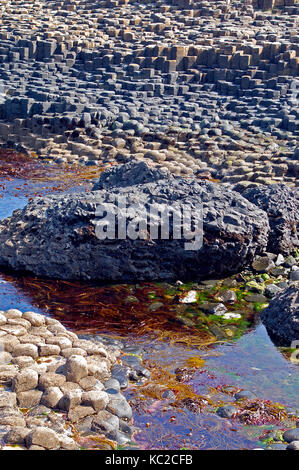 Giants Causeway in Irland Stockfoto