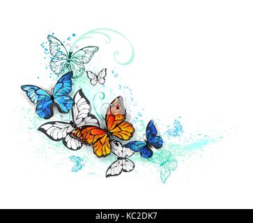 Realistische Schmetterlinge, blaue Morpho und orange Monarchen auf einem weißen Hintergrund, mit Grün und Blau lackiert. Morpho. Monarch Butterfly. Design wit Stock Vektor