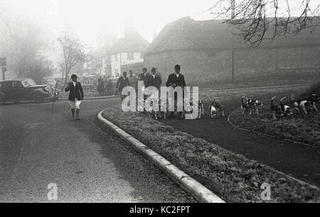 1960, historische, am frühen Morgen im Dorf und lokalen Jäger mit Hunden gehen auf den Beginn der Jagd, England, UK. Stockfoto