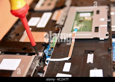 Closeup Schuß von Schraubendreher während der Reparatur der alten Notebook. Stockfoto