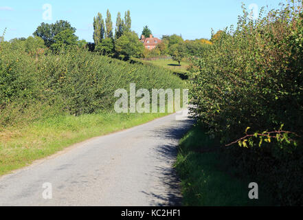 Verwinkelten country lane im Tal zwischen Hecken, Monewden, Suffolk, England, Großbritannien Stockfoto