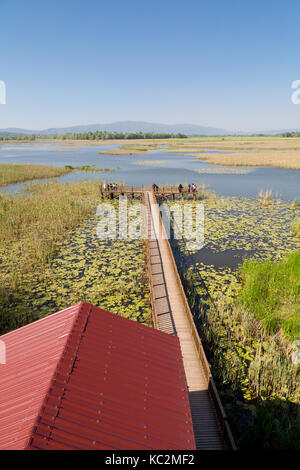 Düzce, Türkei - 29. APRIL 2017: Panoramablick auf Efteni See vom Aussichtsturm mit Seerosen und lange Pier in Düzce, Türkei. Stockfoto