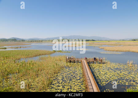 Düzce, Türkei - 29. APRIL 2017: Panoramablick auf Efteni See vom Aussichtsturm mit Seerosen und lange Pier in Düzce, Türkei. Stockfoto