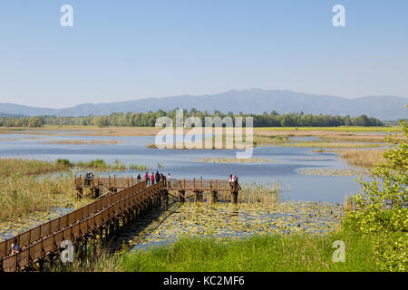 Düzce, Türkei - 29. APRIL 2017: Efteni See mit Seerosen und lange Pier in Düzce, Türkei. Stockfoto