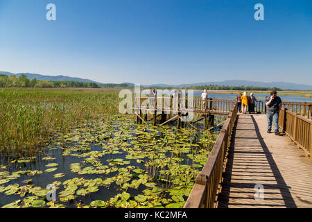 Düzce, Türkei - 29. APRIL 2017: Efteni See mit Seerosen und lange Pier in Düzce, Türkei. Stockfoto