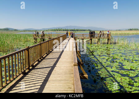 Düzce, Türkei - 29. APRIL 2017: Efteni See mit Seerosen und lange Pier in Düzce, Türkei. Stockfoto