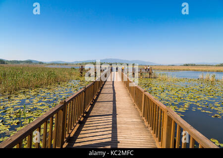 Düzce, Türkei - 29. APRIL 2017: Efteni See mit Seerosen und lange Pier in Düzce, Türkei. Stockfoto