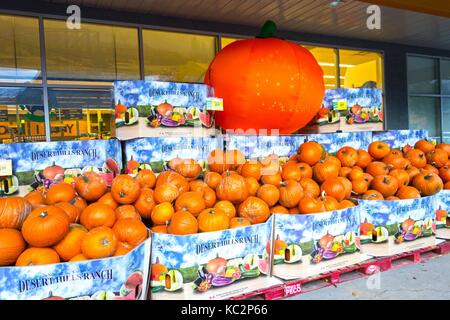 Herbst Kürbis Ernten auf Verkauf vor Speichern über Lebensmittel Lebensmittelgeschäfte Kaufhaus in der Stadt von Canmore Alberta im Oktober Halloween Urlaub Ansätze Stockfoto