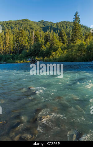 Hoh River im Happy Four Camp entlang des Hoh River Trail zum Blue Glacier, Olympic National Park, Washington State, USA Stockfoto