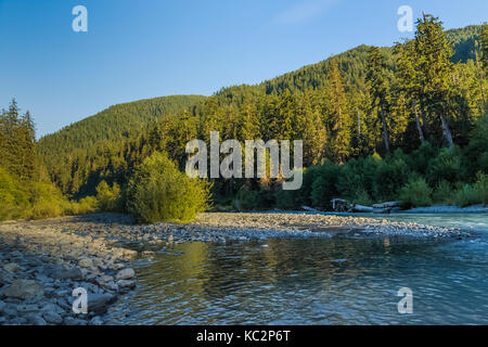 Hoh River im Happy Four Camp entlang des Hoh River Trail zum Blue Glacier, Olympic National Park, Washington State, USA Stockfoto