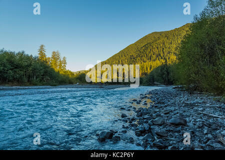 Hoh River im Happy Four Camp entlang des Hoh River Trail zum Blue Glacier, Olympic National Park, Washington State, USA Stockfoto