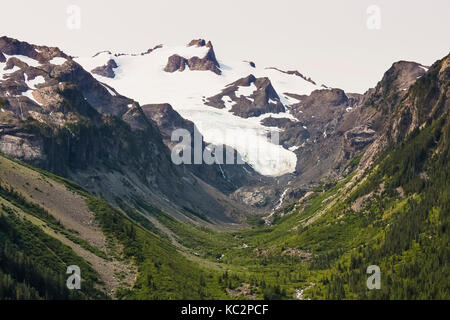 White Glacier und Glacier Creek entlang des Hoh River Trail zum Blue Glacier, Olympic National Park, Washington State, USA Stockfoto