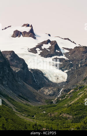 White Glacier und Glacier Creek entlang des Hoh River Trail zum Blue Glacier, Olympic National Park, Washington State, USA Stockfoto